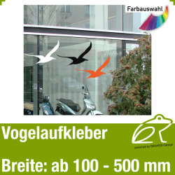 Vogelaufkleber Vogelmotiv 3