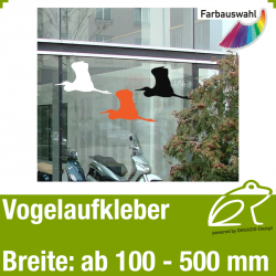 Vogelaufkleber Vogelmotiv 6